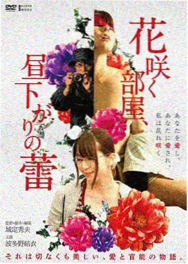 剧情长片档案封面